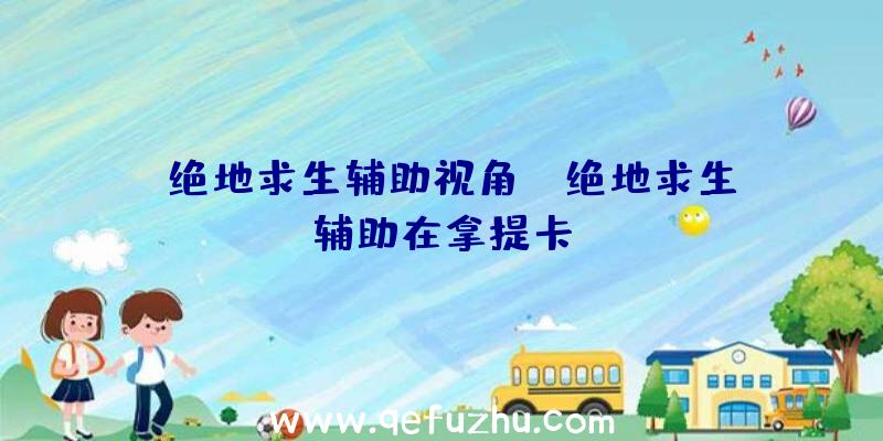 「绝地求生辅助视角」|绝地求生辅助在拿提卡